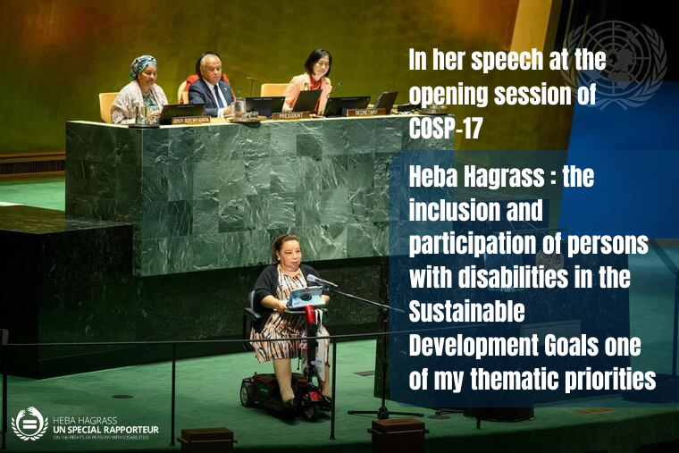 Heba Hagrass : the inclusion and participation of persons with ...