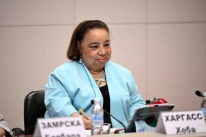 heba Hagrass The UN Special Rapporteur on the rights of persons with disabilities in a light blue jacket sitting at a table with a nameplate in front of her. She appears to be in a formal setting, likely participating in some kind of official proceeding or meeting.